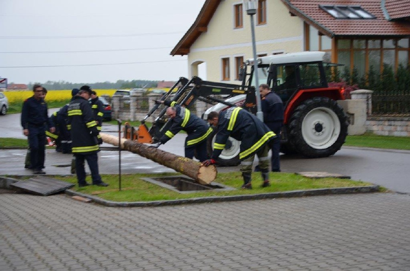 Maibaum_2015