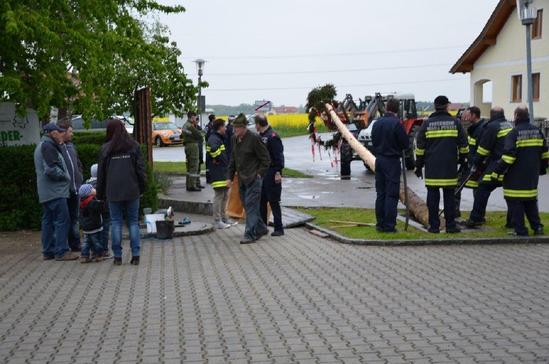 Maibaum_2015