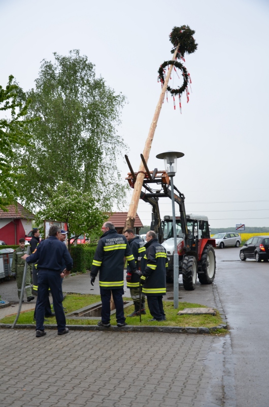 Maibaum_2015