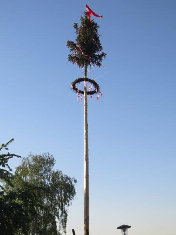 Maibaum aufstellen