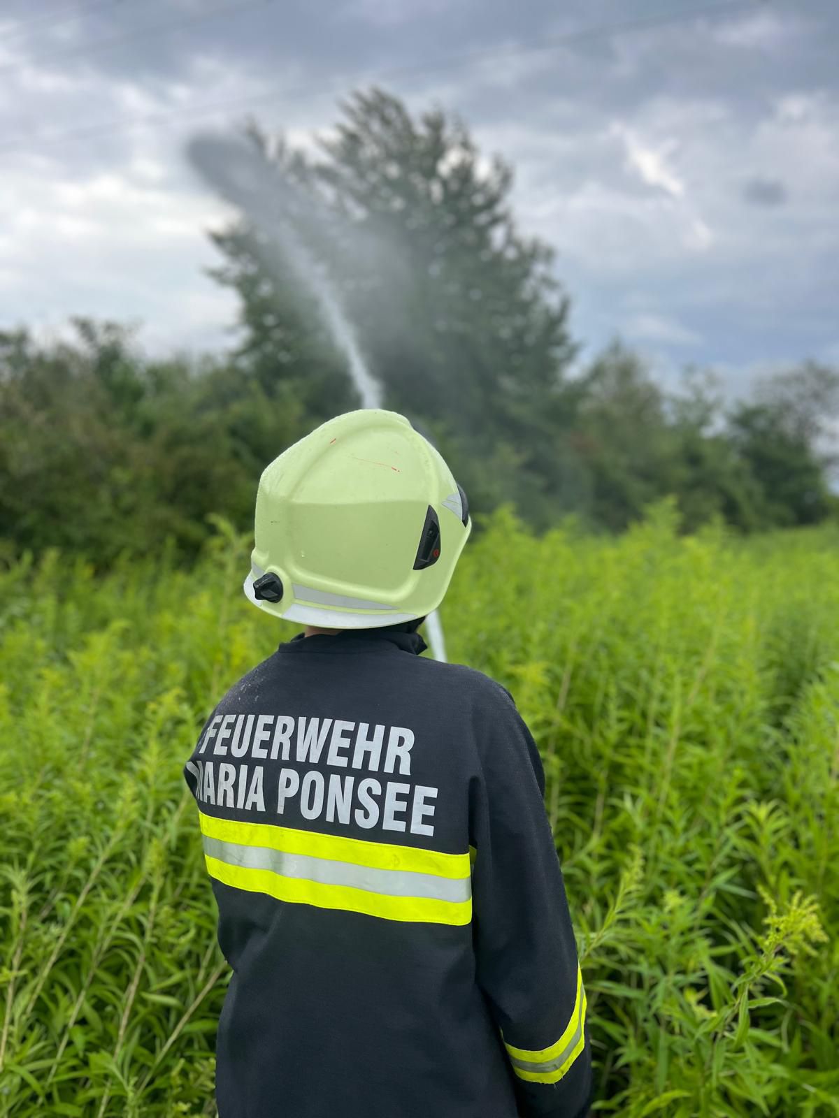 Einsatzbericht: Flurbrand in Pischelsdorf – Großeinsatz bei herausfordernden Bedingungen