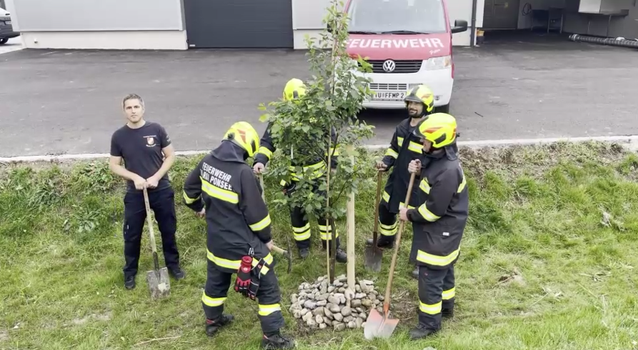 Teilnahme an der Baumpflanz-Challenge 🌳